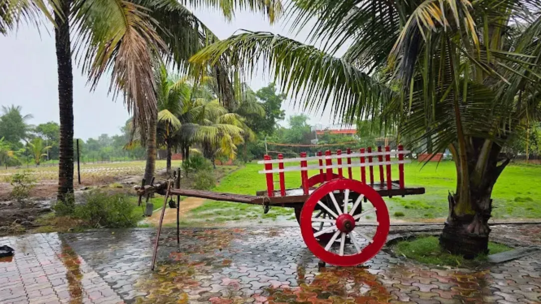 Resort Outdoor Area