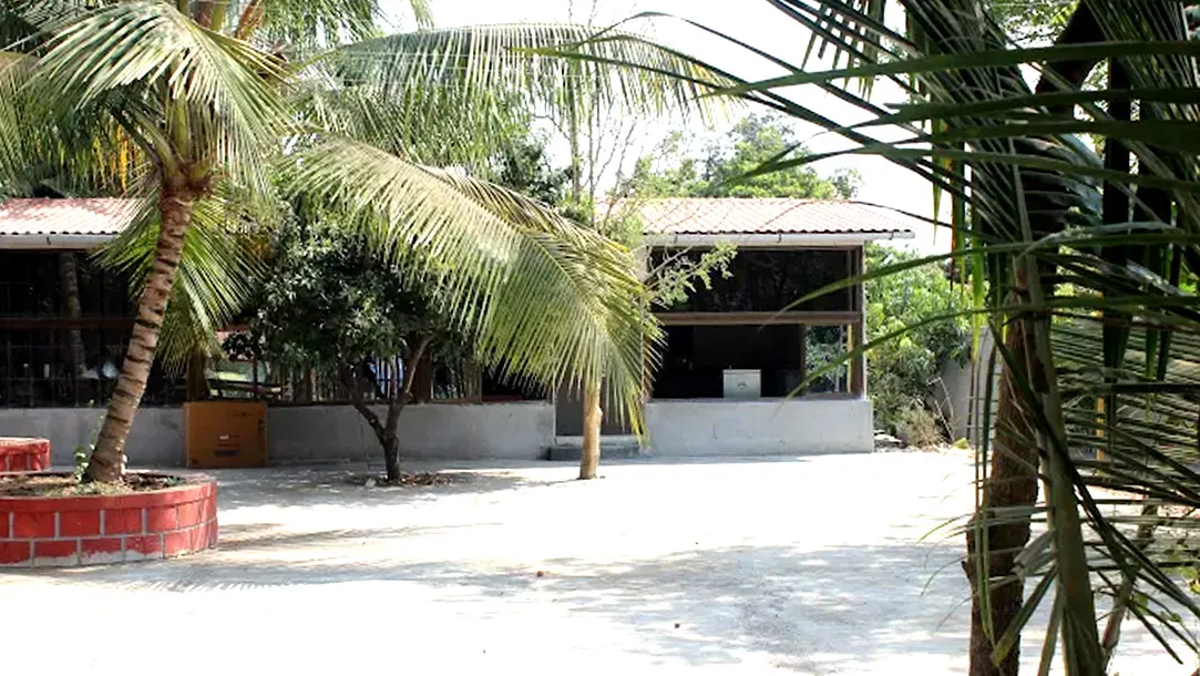 Resort Outdoor Area